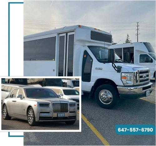 Brampton limo & party bus